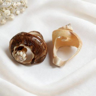 New Design Seashells Finger Rings Handmade
